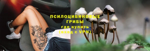 синтетический гашиш Няндома