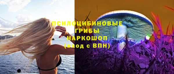 индика Нягань